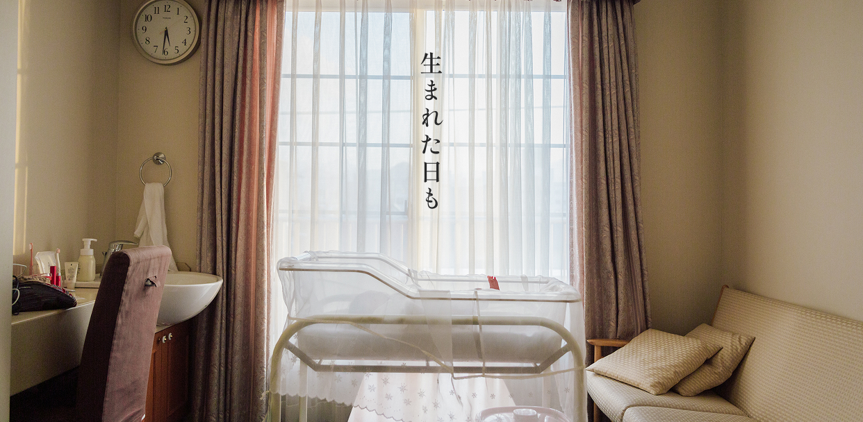 FV画像4